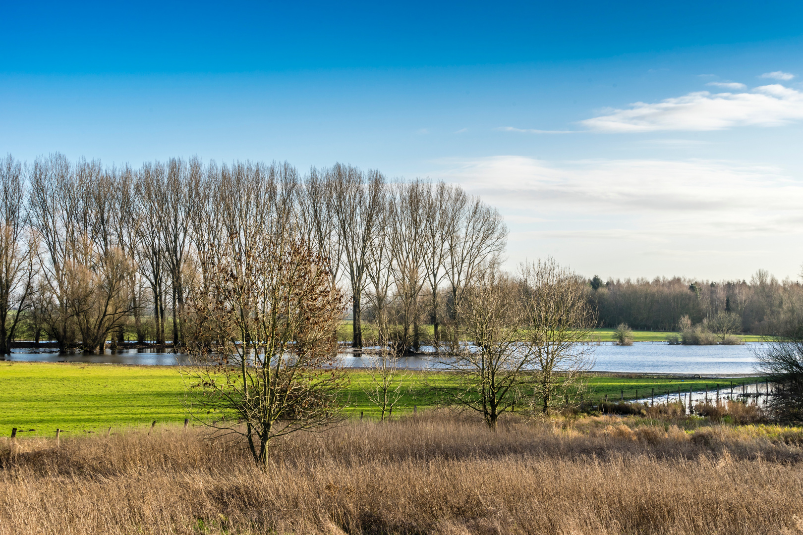 Bislicher Insel I