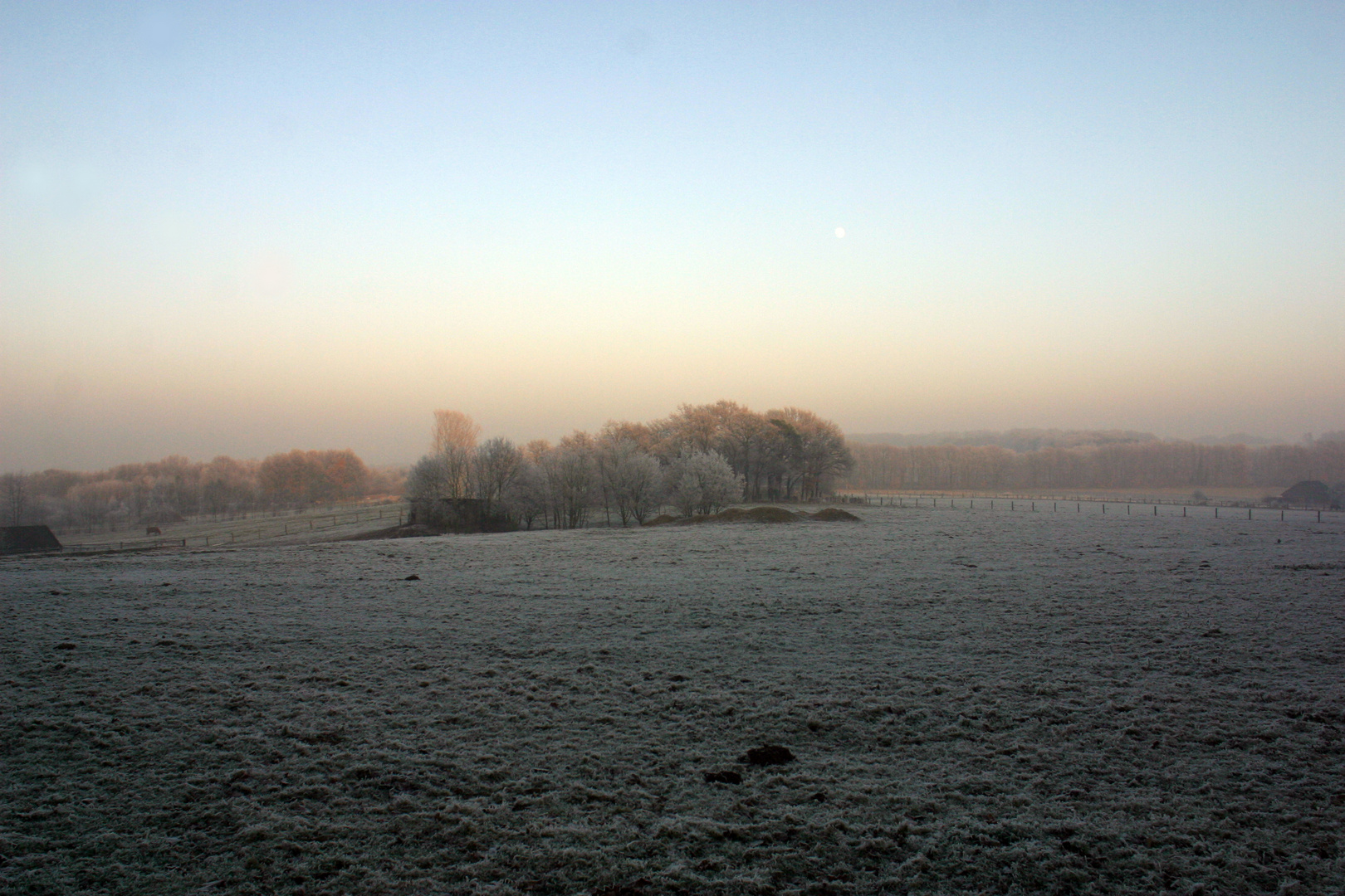 Bislicher Insel im Morgennebel