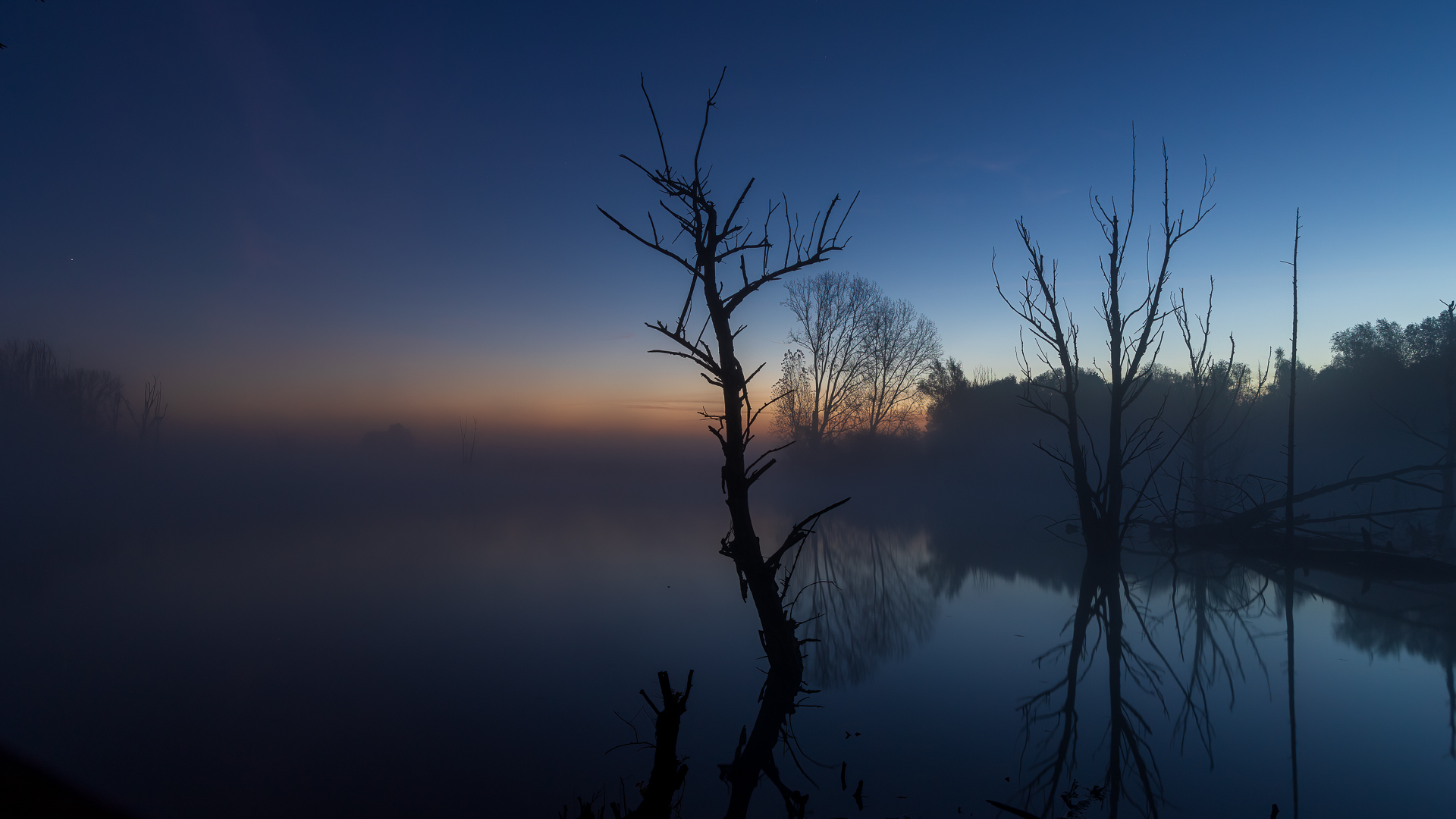 Bislicher Insel vor Sonnenaufgang