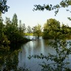 Bislicher Insel Xanten