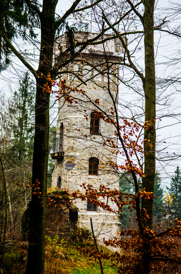 Bismarck Turm (Thermalbad Wiesenbad)