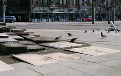 Bismarckplatz Heidelberg