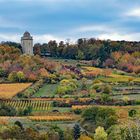 Bismarckturm bei Ingelheim