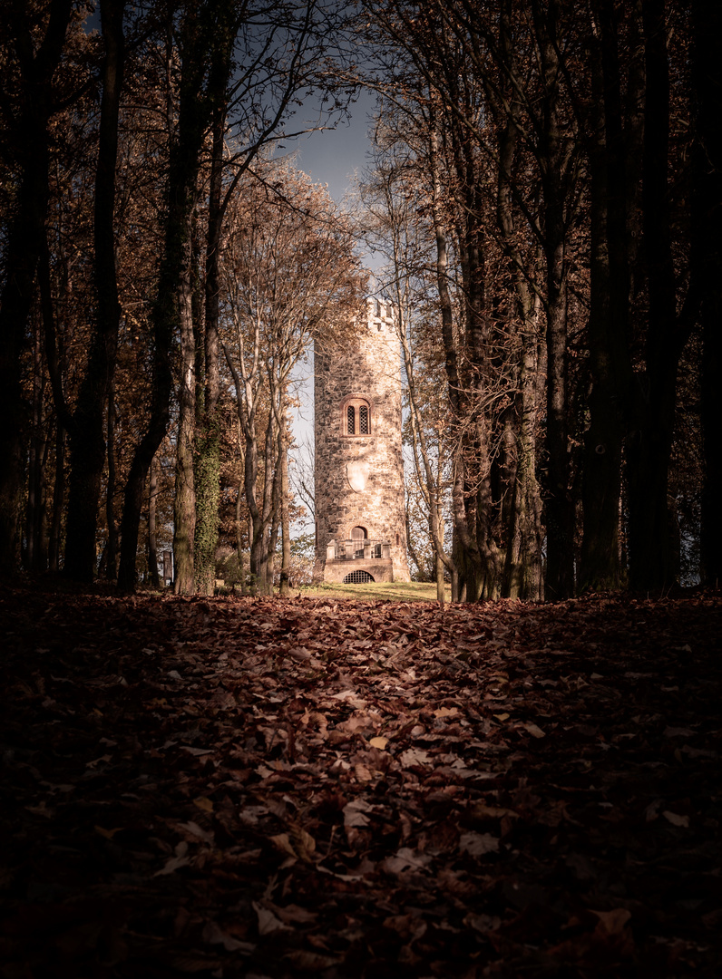 Bismarkturm im Jutta Park Grimma