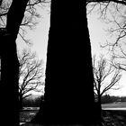 Bismarkturm im Schatten