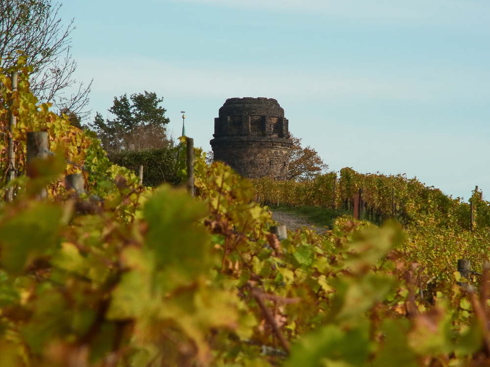 Bismarkturm Radebeul im Herbst..