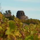 Bismarkturm Radebeul im Herbst..