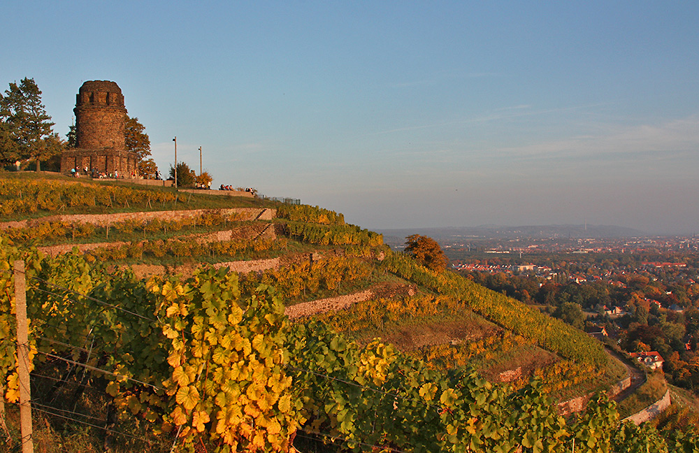 Bismarkturm und Blick auf die Stadt und in den Weinberg