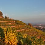 Bismarkturm und Blick auf die Stadt und in den Weinberg