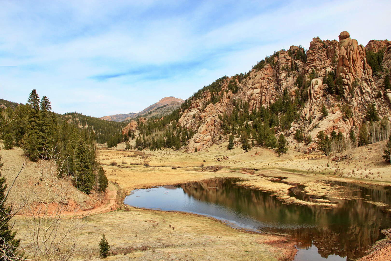 Bison Creek