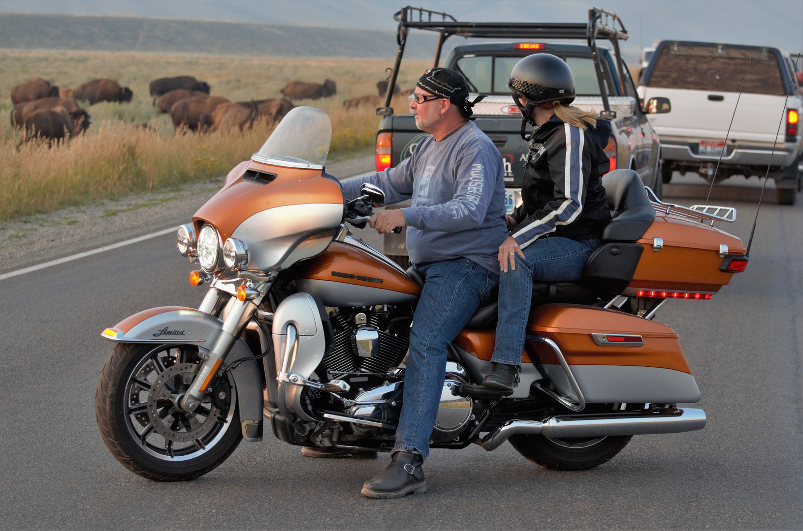 bison meets biker, oder doch lieber umkehren