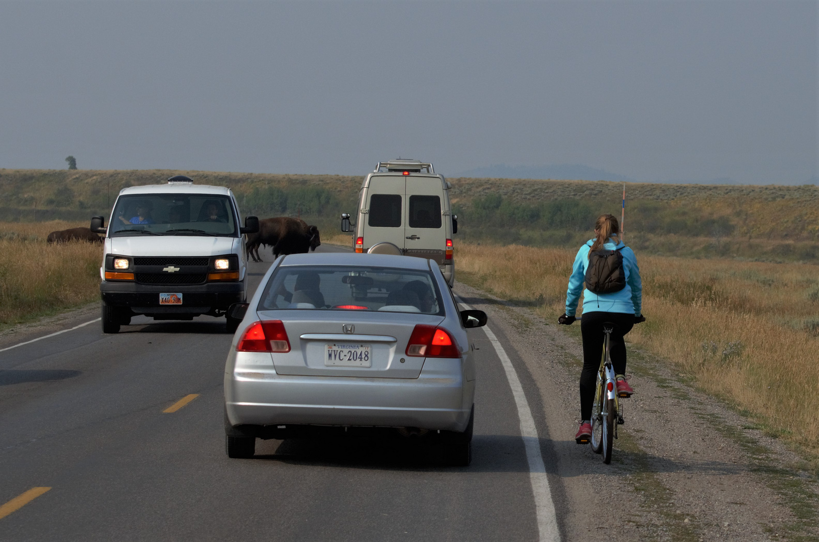 bison meets bikerin