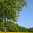 Bisschen Frühling