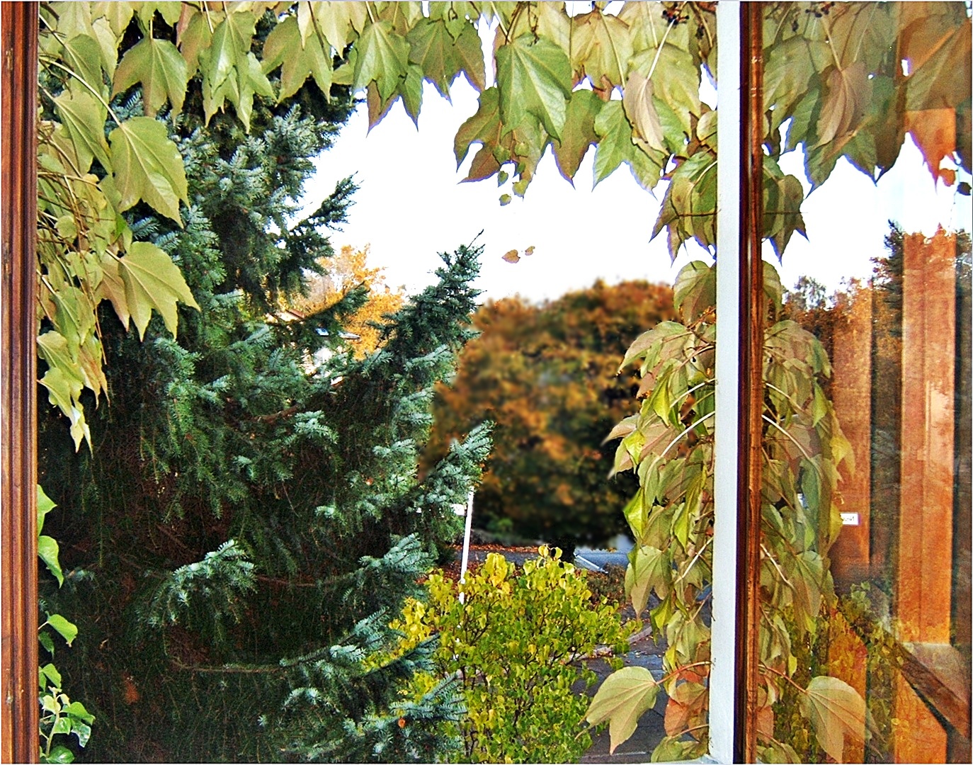 bisschen Herbst, bisschen Spiegelei
