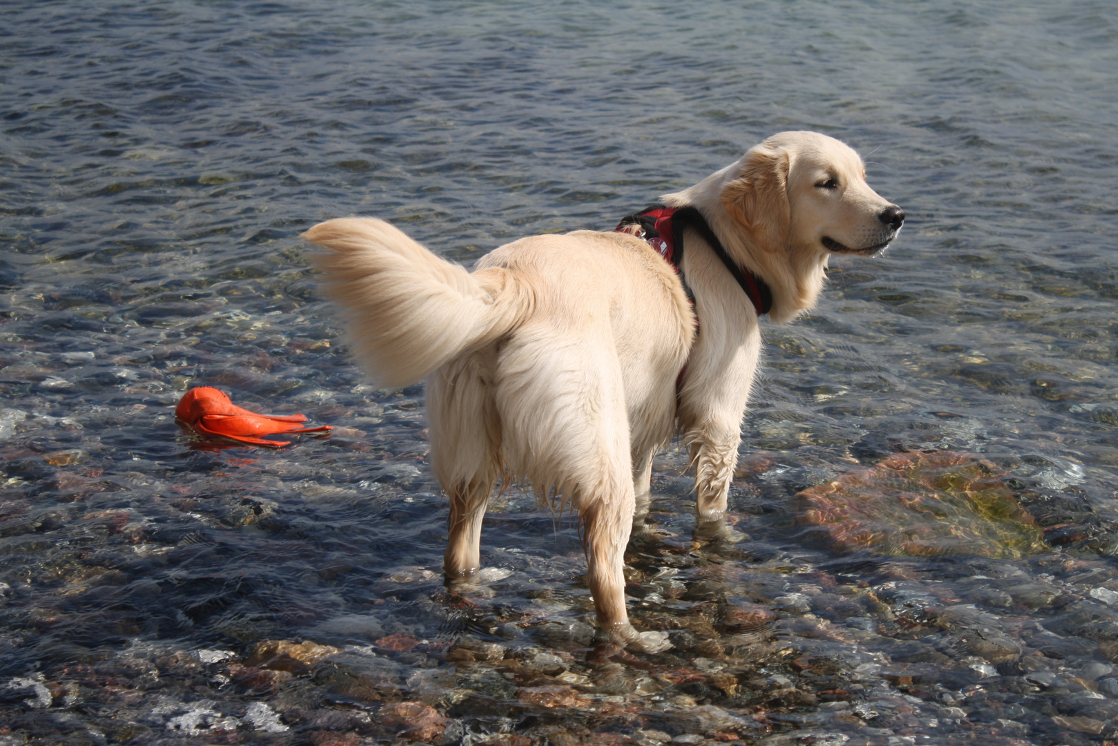 Bisschen kalt das Wasser.....