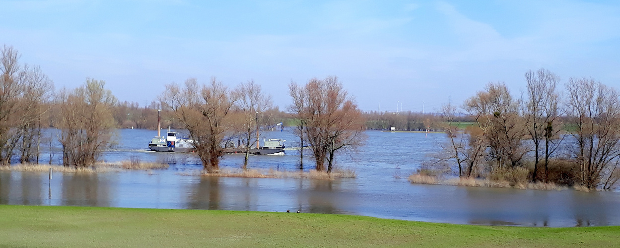 Bisschen viel Wasser im Rhein