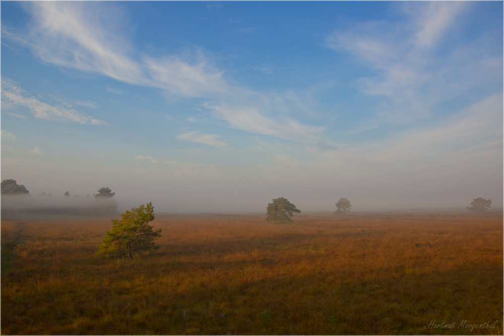 Bissendorfer Moor