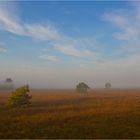 Bissendorfer Moor