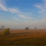 Bissendorfer Moor