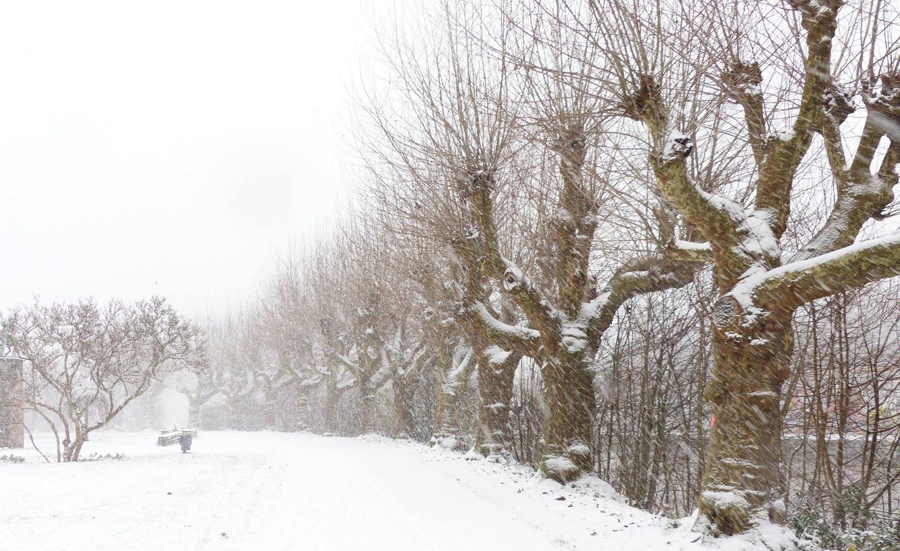 bisserl schnee gefällig