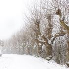 bisserl schnee gefällig