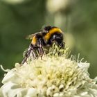 bisserl warm angezogen für die jahreszeit