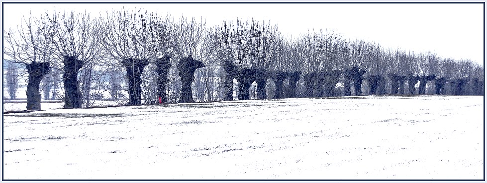 bissi rot an.... weiden mal in blau...1.