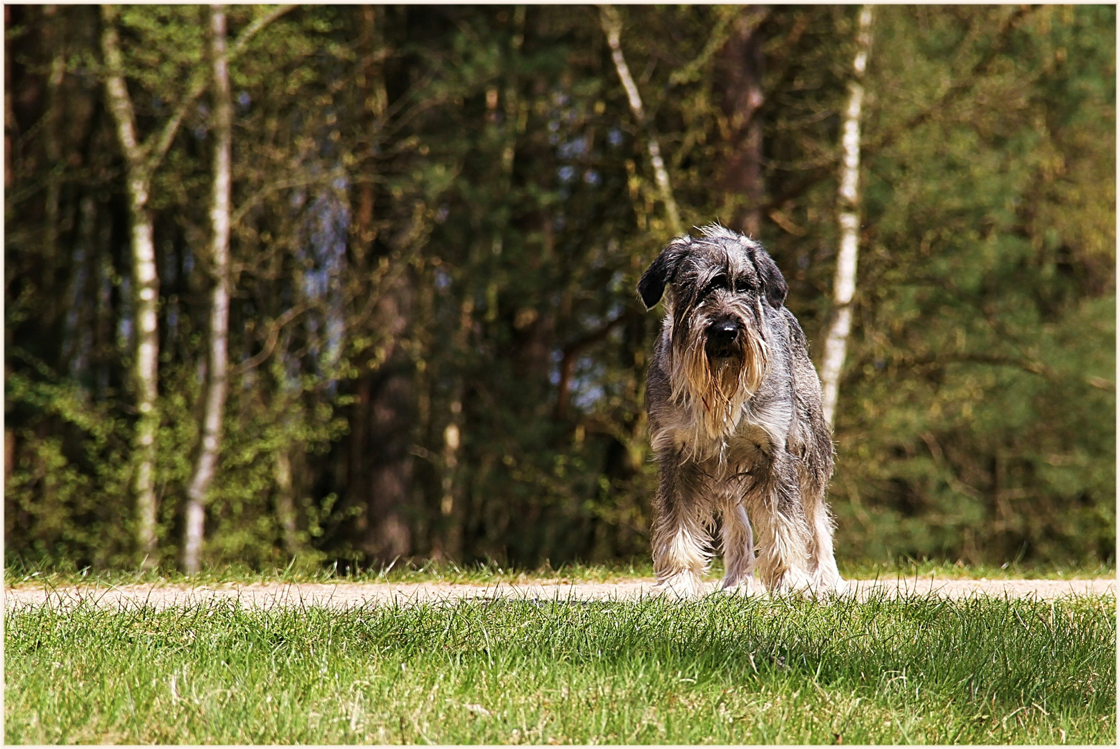 bist Du auch bei der fotocommunity ... ?