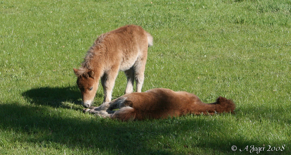 "Bist Du auch kitzlich?.."