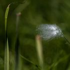 bist Du das Fähnlein im Wind oder willst Du nur einfach mal ruhen