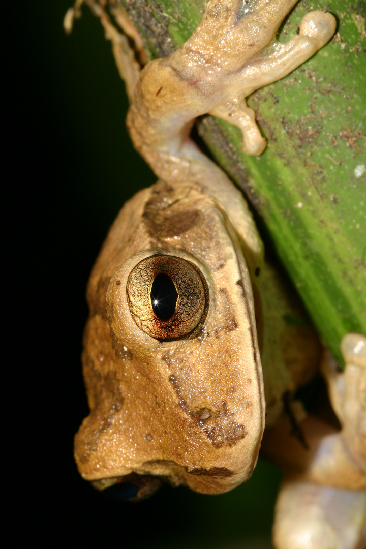 Bist du das Glitzern in meinen Augen siehst