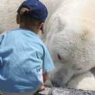 Bist du ein Kuschelbär ...?