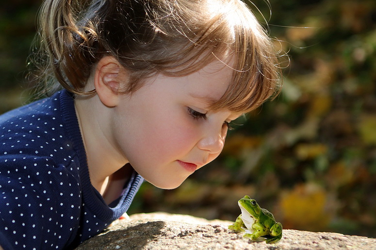 Bist Du ein Prinz oder ein Frosch?