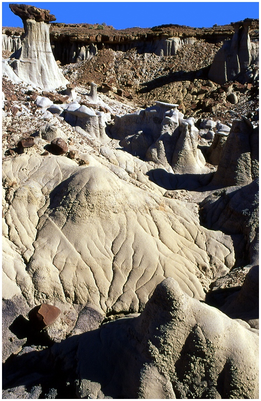 Bisti Badlands