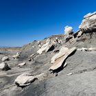 Bisti Badlands (2)