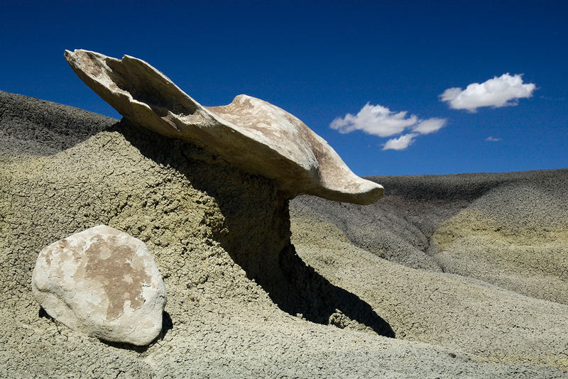 Bisti Badlands von Birgit Meyer