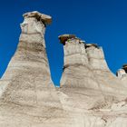 Bisti Badlands