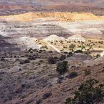 Bisti Badlands