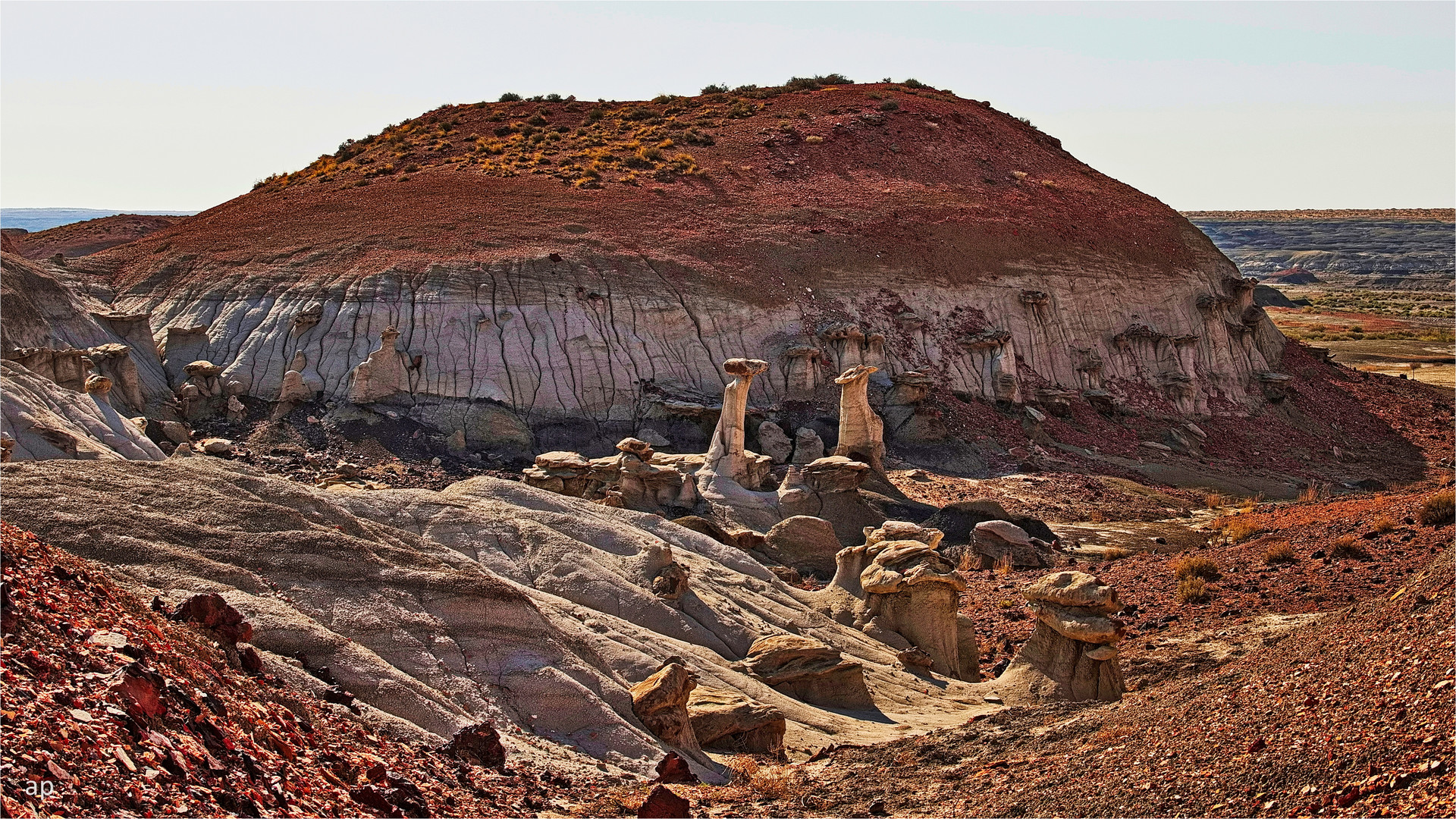 Bisti Badlands