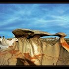 ** Bisti Badlands **