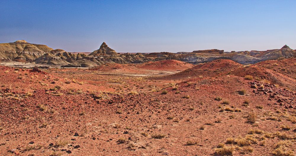 Bisti Badlands