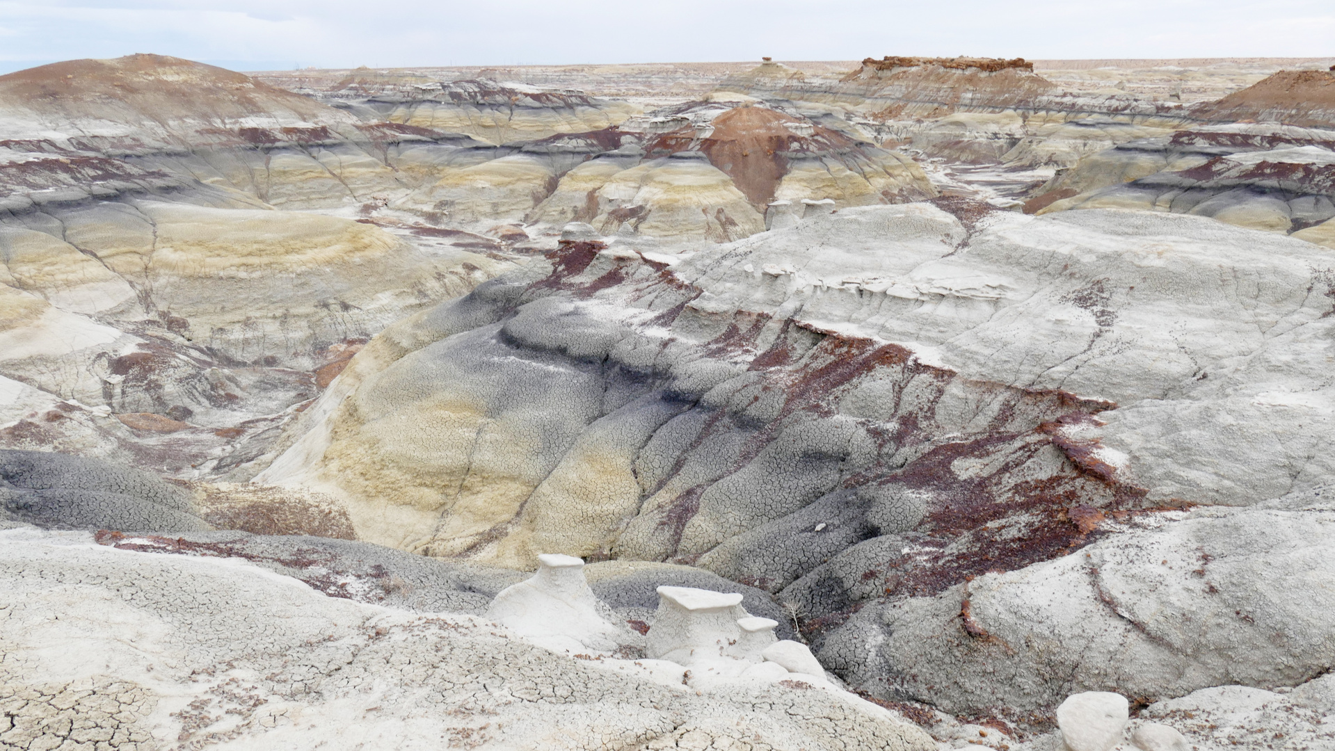 Bisti Badlands bei Farmington