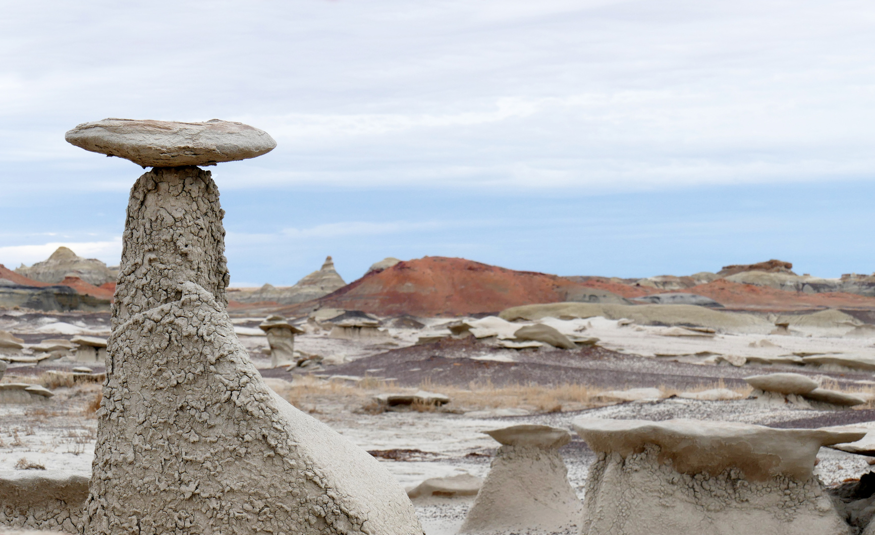 Bisti Badlands bei Farmington