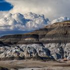 Bisti Badlands