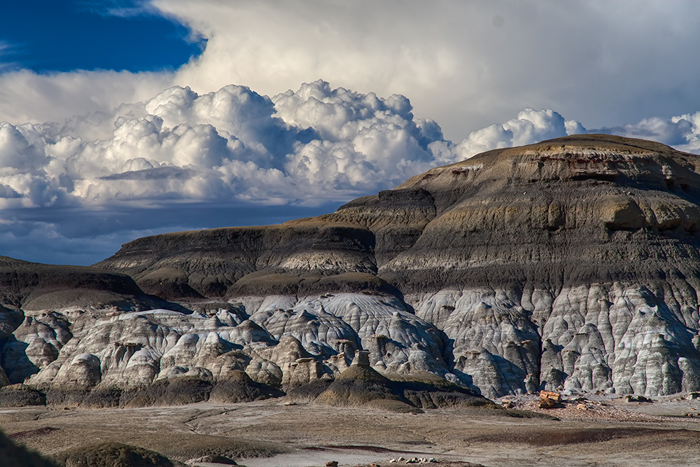 Bisti Badlands