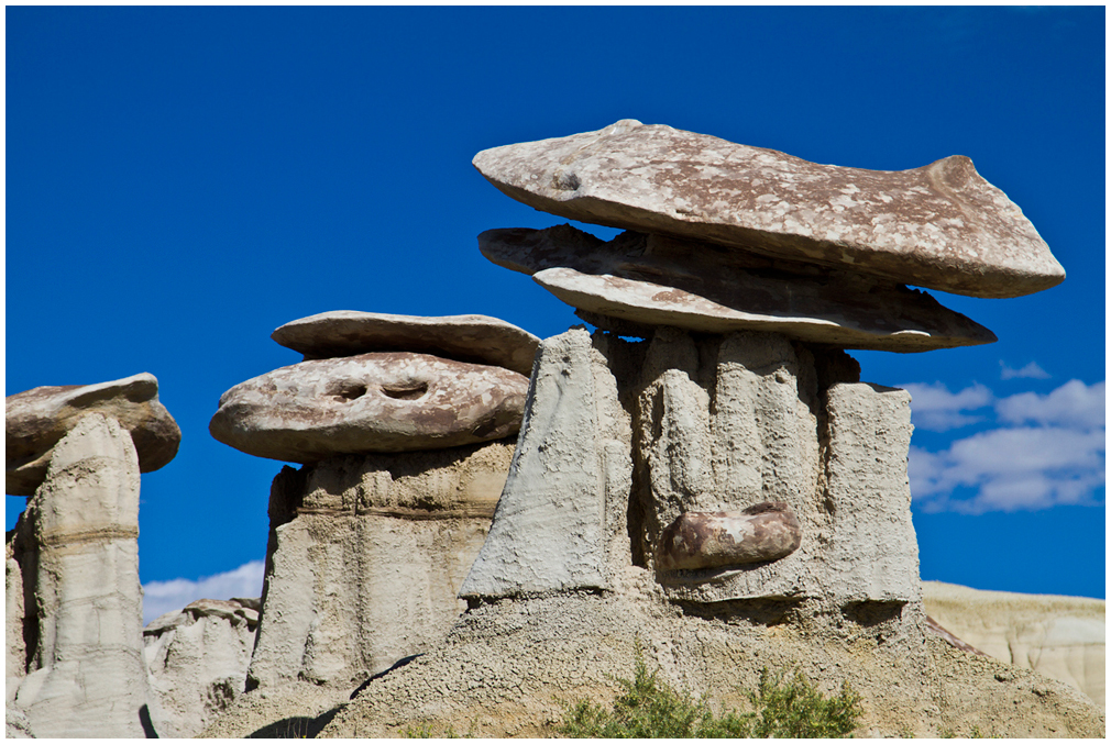 Bisti in Farmington