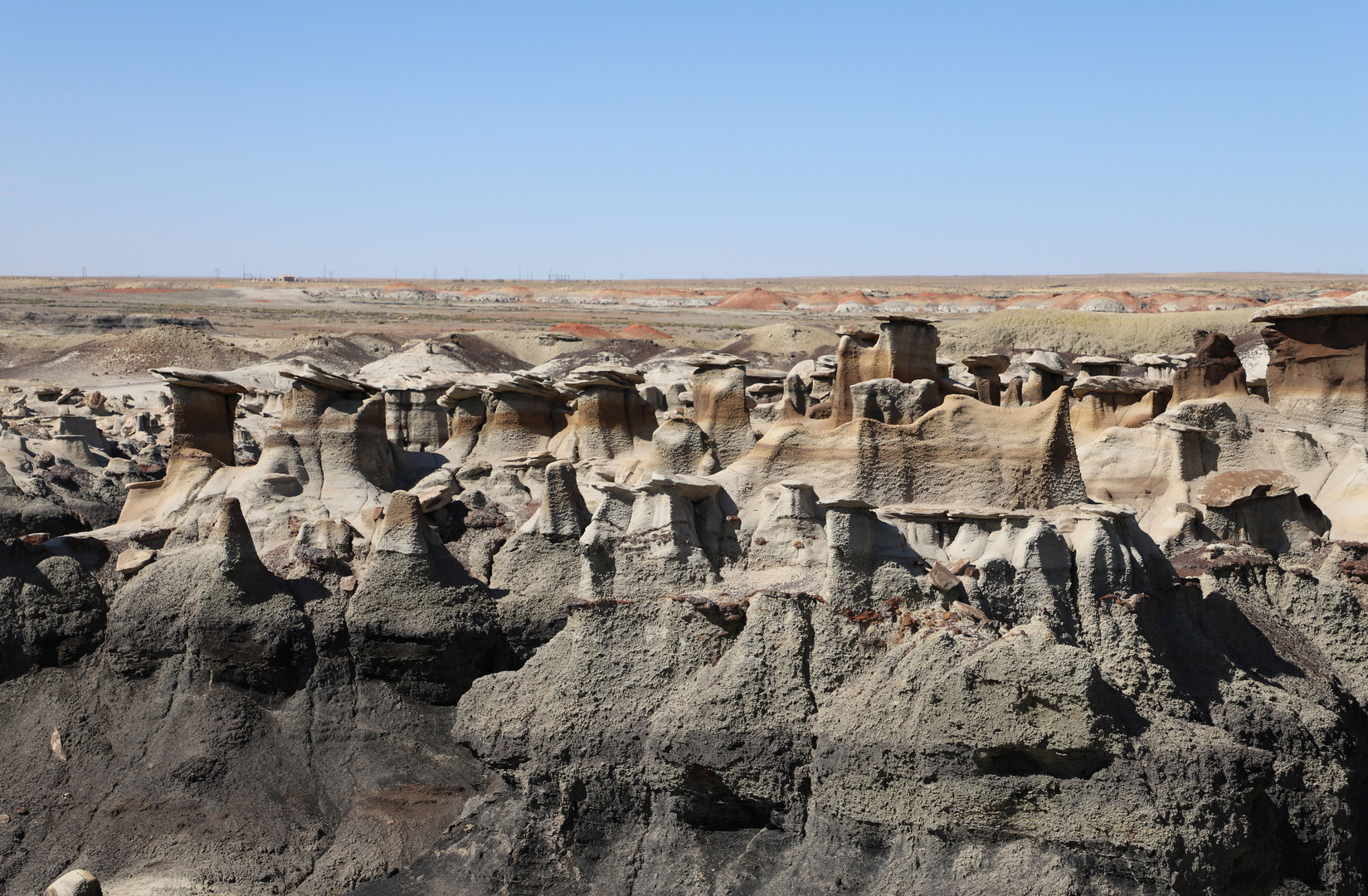 Bisti Wilderness....