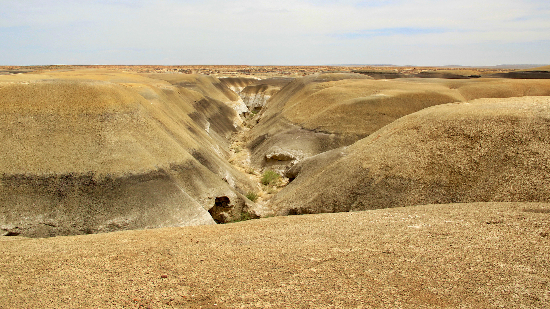 Bisti Wilderness