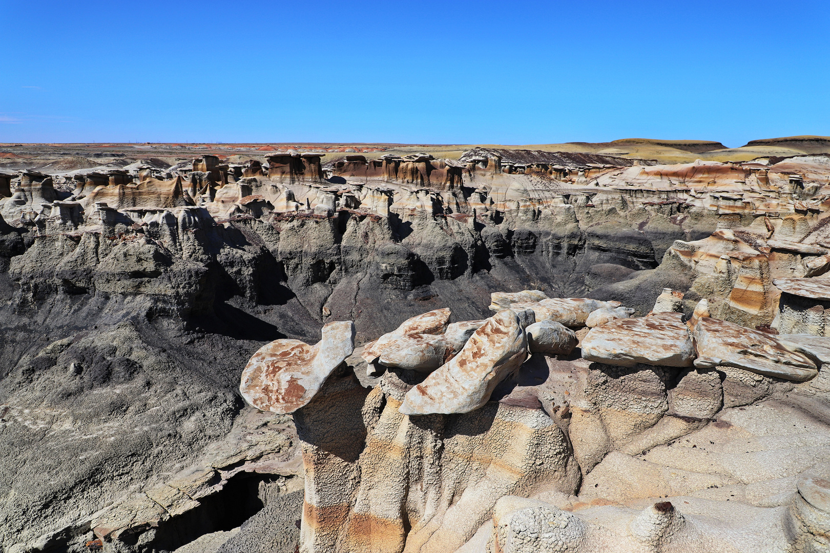 Bisti Wilderness