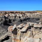 Bisti Wilderness